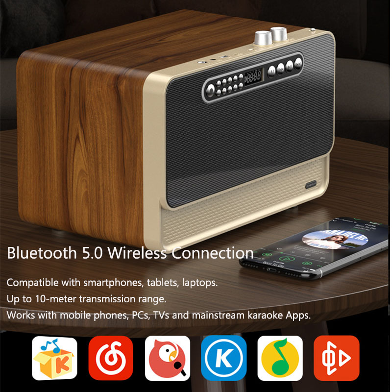 Drewniany głośnik Bluetooth w  – Home Decor Range recenzja i cena