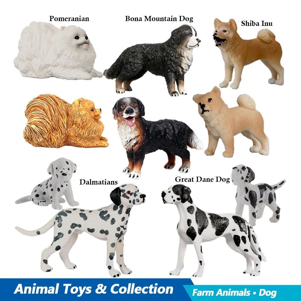 Labrador pudel Rottweiler Bona – Review Home Decor recenzja i cena