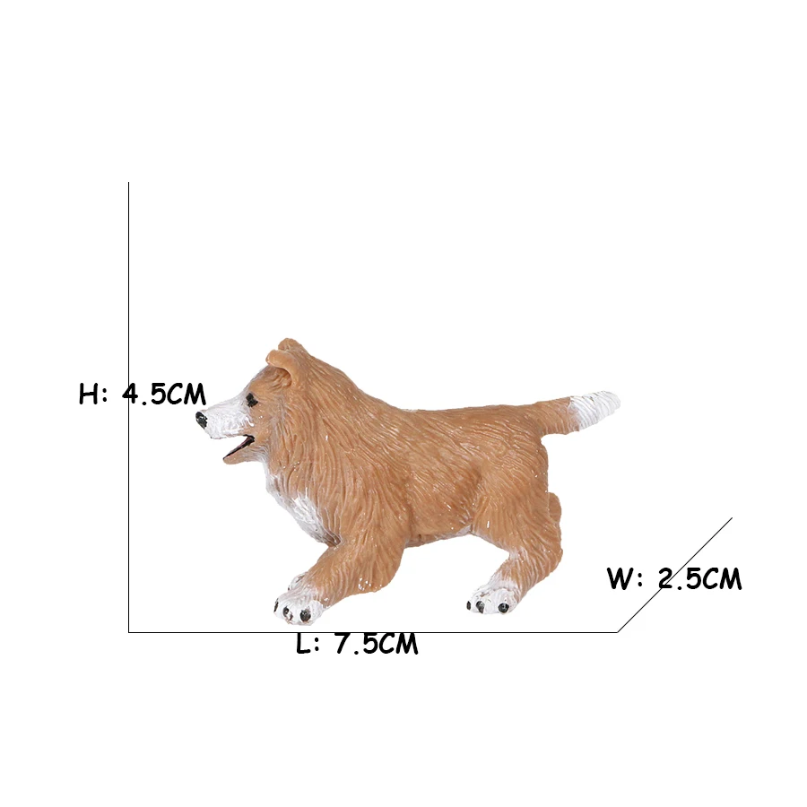 Golden Retriever Corgi Shiba I – Review Home Decor recenzja i cena