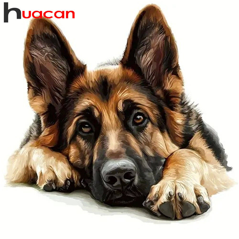 Huacan 2024 Nowa kolekcja Diam – Germany Home Decor recenzja i cena