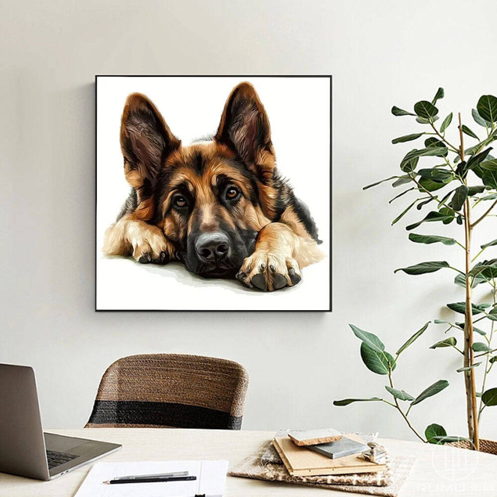 Huacan 2024 Nowa kolekcja Diam – Germany Home Decor recenzja i cena